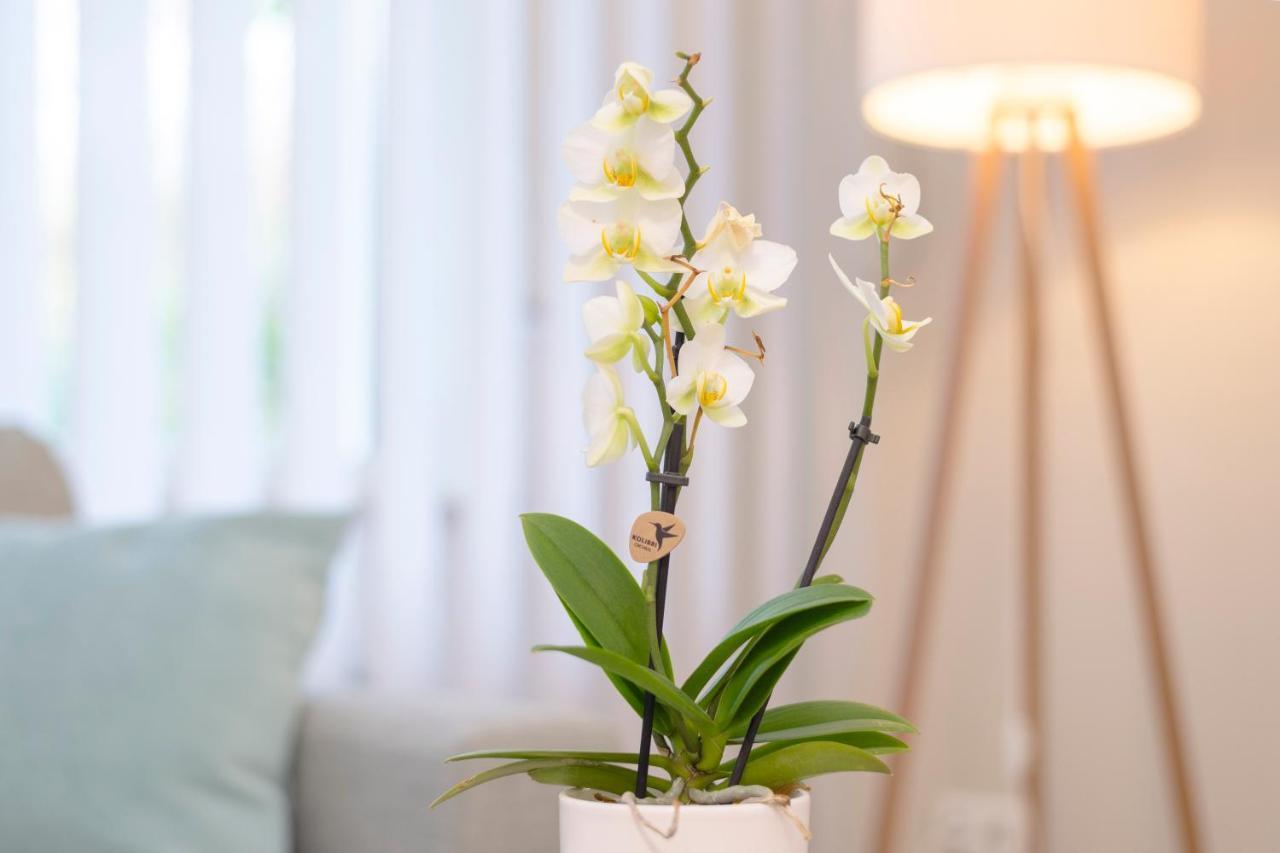 Livingroom Mathildenhoehe ดาร์มชตัดต์ ภายนอก รูปภาพ